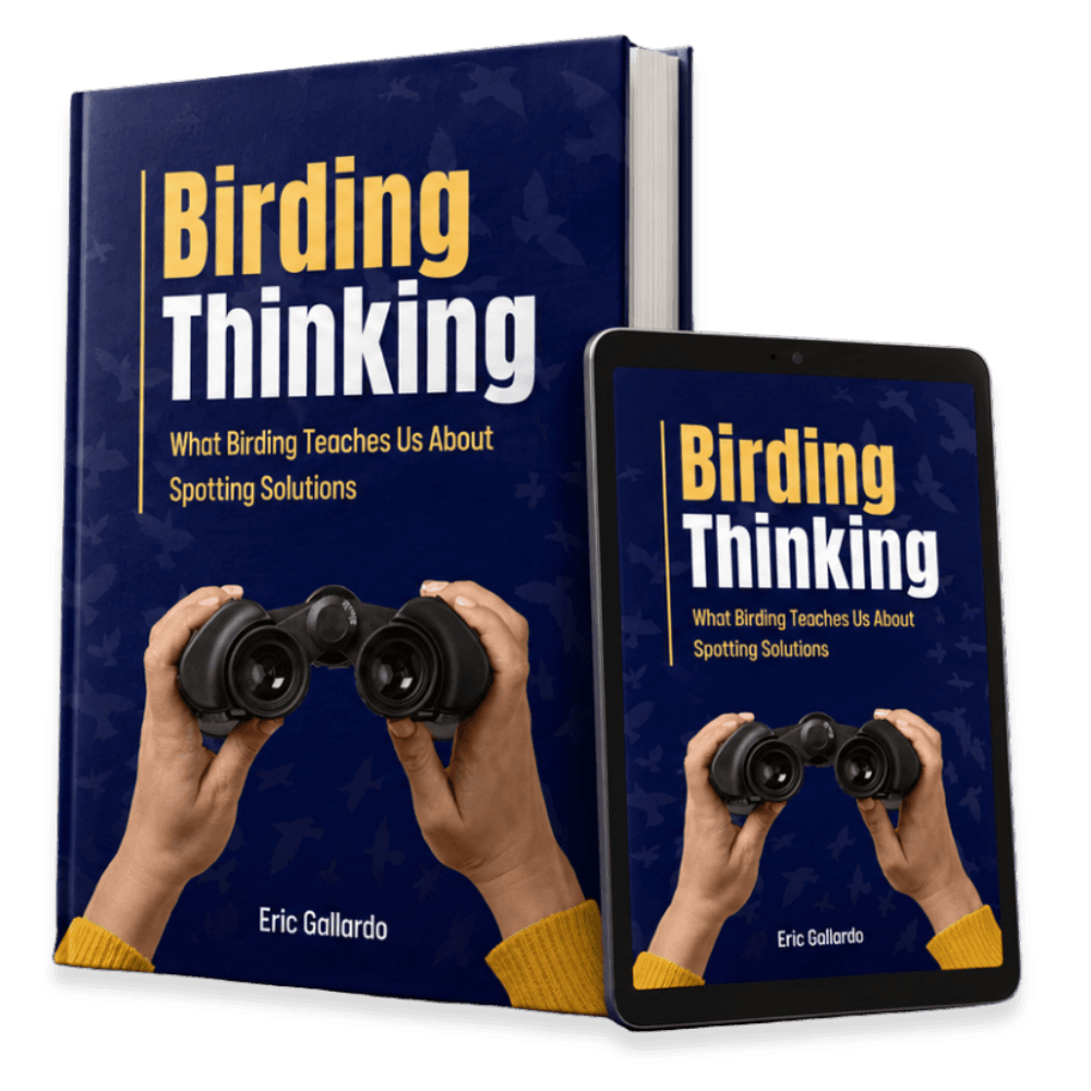 Birding Thinking book editions