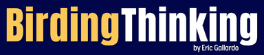 Birding Thinking